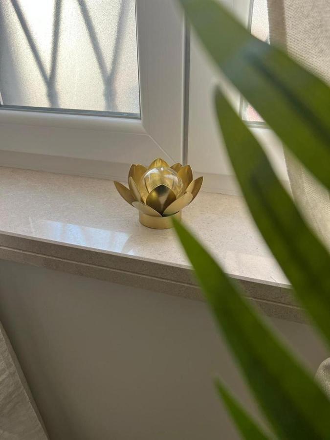 Fior Di Loto Suite - Antonelli トリノ エクステリア 写真